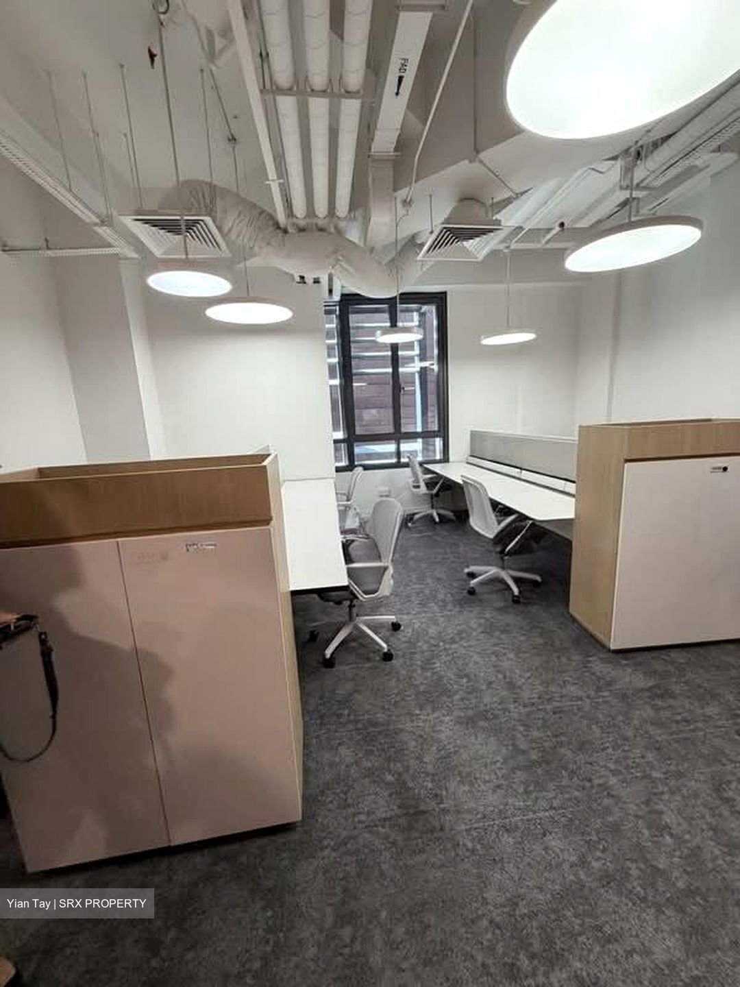 PLUS (D1), Office #559121591